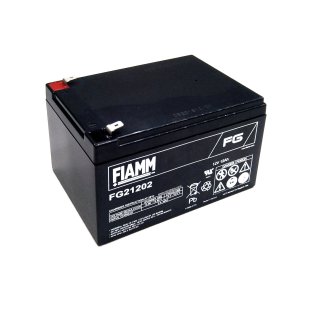 Fiamm FG21803 12V 18Ah Batterie Plomb rechargeable AGM