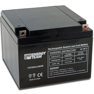Batteria Ric.Piombo 6V 12,0 Ah ( ELCART cod. 300604500 )